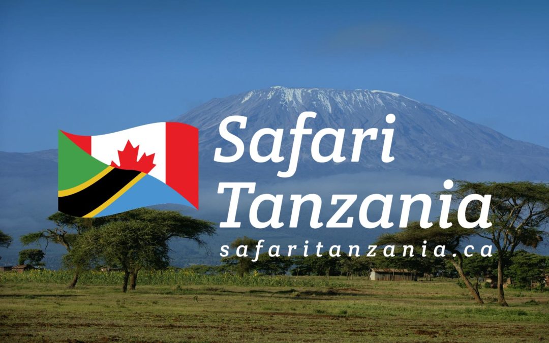 Safari Tanzania logo on Kilimanjaro background