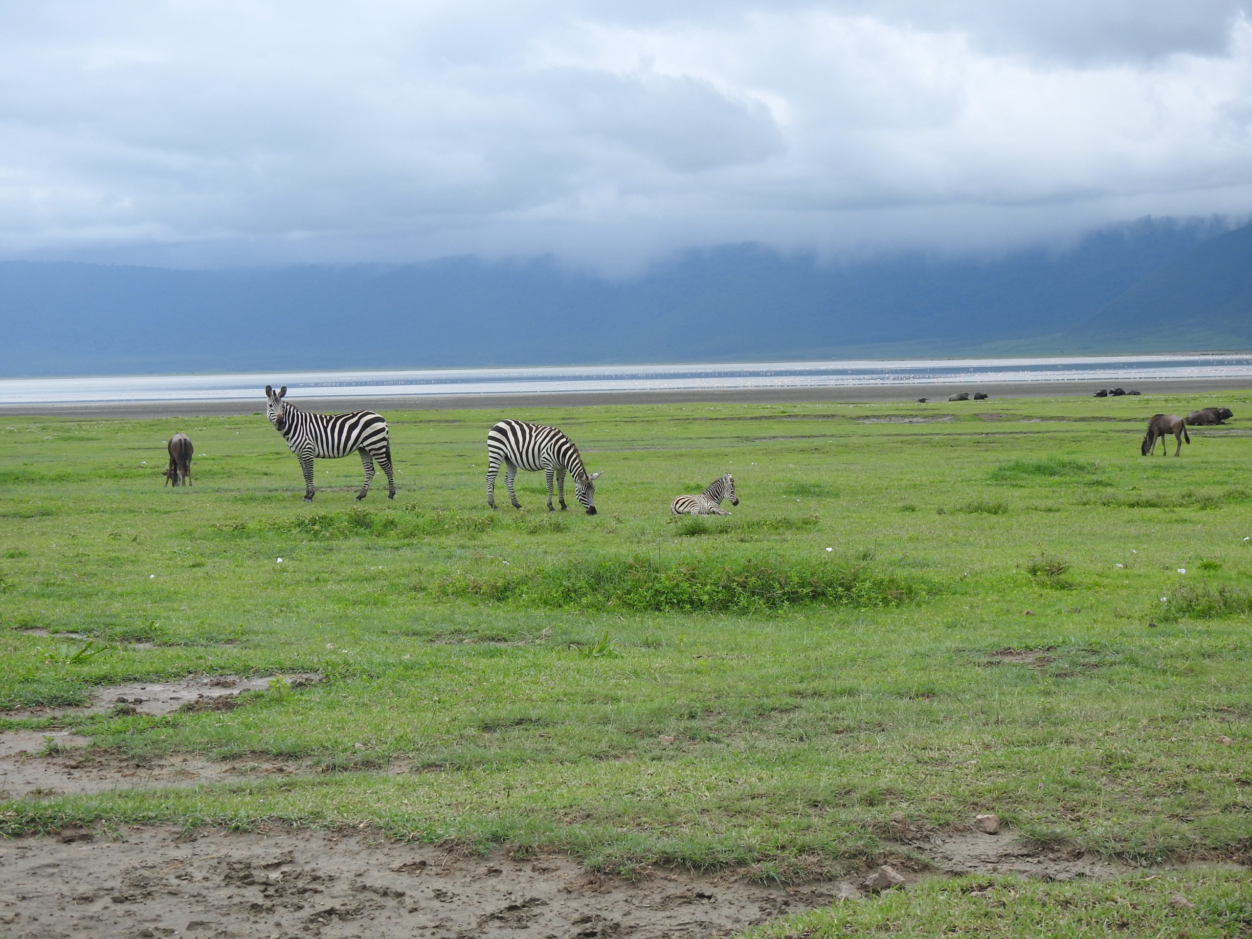 ngorongoro national park safari price