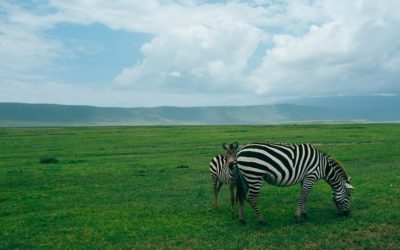 Ngorongoro Crater National Park