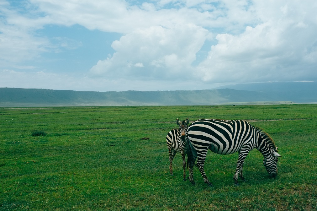 Ngorongoro Crater National Park